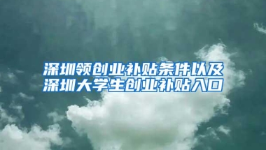 深圳领创业补贴条件以及深圳大学生创业补贴入口