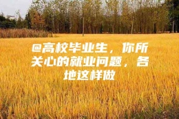 @高校毕业生，你所关心的就业问题，各地这样做