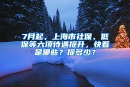 7月起，上海市社保、低保等六项待遇提升，快看是哪些？提多少？