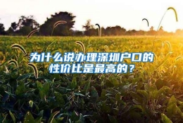 为什么说办理深圳户口的性价比是最高的？