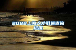 2022上海人才引进查询进度