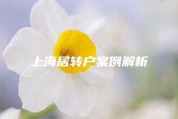 上海居转户案例解析