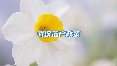 武汉落户政策