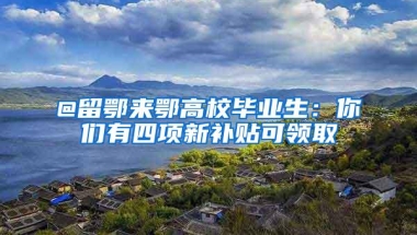 @留鄂来鄂高校毕业生：你们有四项新补贴可领取