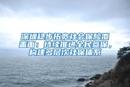 深圳稳步拓宽社会保险覆盖面：持续推进全民参保，构建多层次社保体系