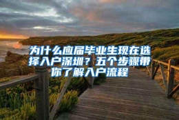 为什么应届毕业生现在选择入户深圳？五个步骤带你了解入户流程