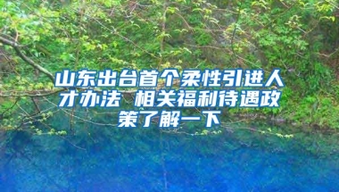 山东出台首个柔性引进人才办法 相关福利待遇政策了解一下