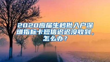 2020应届生秒批入户深圳指标卡短信迟迟没收到，怎么办？