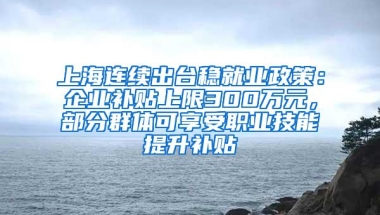 上海连续出台稳就业政策：企业补贴上限300万元，部分群体可享受职业技能提升补贴