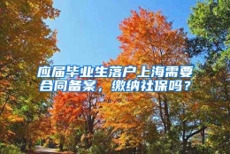 应届毕业生落户上海需要合同备案，缴纳社保吗？