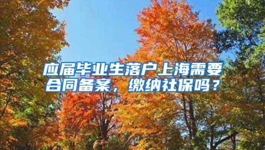 应届毕业生落户上海需要合同备案，缴纳社保吗？