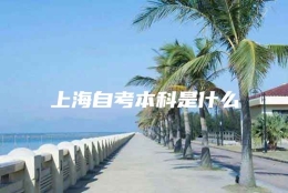 上海自考本科是什么