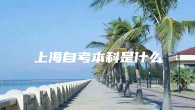 上海自考本科是什么