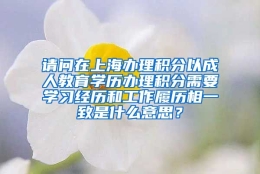 请问在上海办理积分以成人教育学历办理积分需要学习经历和工作履历相一致是什么意思？