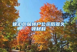 徐汇区居转户公示后多久领材料