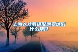 上海人才引进配偶要达到什么条件