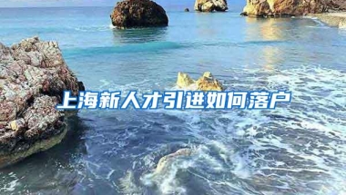 上海新人才引进如何落户