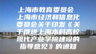 上海市教育委员会 上海市经济和信息化委员会关于印发《关于推进上海本科高校现代产业学院建设的指导意见》的通知