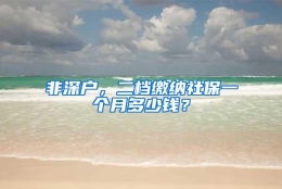 非深户，二档缴纳社保一个月多少钱？