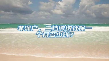 非深户，二档缴纳社保一个月多少钱？