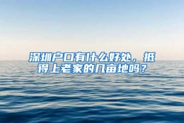 深圳户口有什么好处，抵得上老家的几亩地吗？