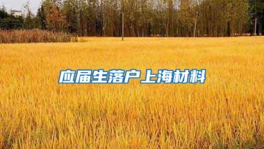 应届生落户上海材料