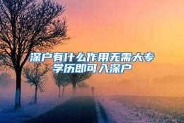 深户有什么作用无需大专学历即可入深户