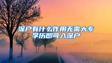 深户有什么作用无需大专学历即可入深户