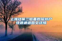 上海社保三倍基数居转户快速通道图文详情