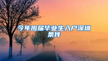 今年应届毕业生入户深圳条件