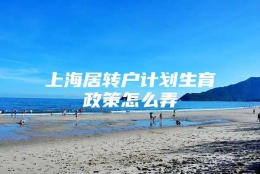 上海居转户计划生育政策怎么弄