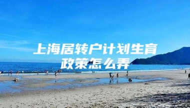 上海居转户计划生育政策怎么弄