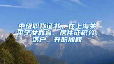 中级职称证书，在上海关乎子女教育、居住证积分、落户、升职加薪