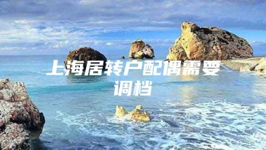 上海居转户配偶需要调档