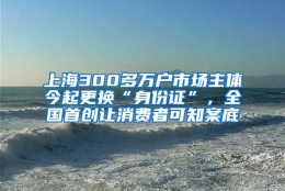 上海300多万户市场主体今起更换“身份证”，全国首创让消费者可知案底