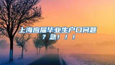 上海应届毕业生户口问题？急！！！