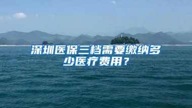 深圳医保三档需要缴纳多少医疗费用？