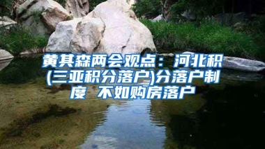 黄其森两会观点：河北积(三亚积分落户)分落户制度 不如购房落户