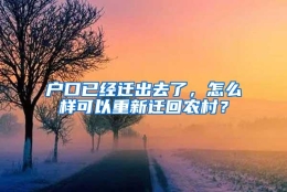 户口已经迁出去了，怎么样可以重新迁回农村？