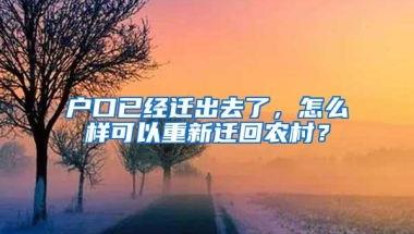 户口已经迁出去了，怎么样可以重新迁回农村？