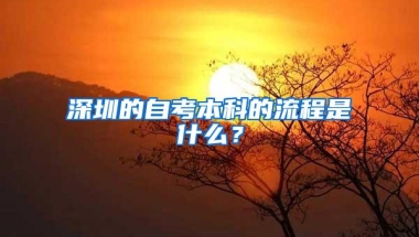 深圳的自考本科的流程是什么？