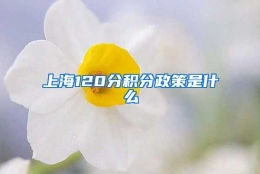 上海120分积分政策是什么