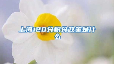 上海120分积分政策是什么