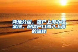 两地分居，落户上海办理案例，配偶户口调入上海的流程