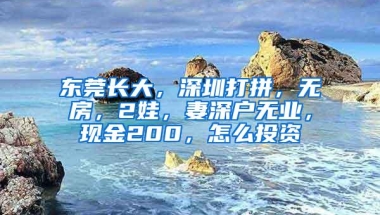 东莞长大，深圳打拼，无房，2娃，妻深户无业，现金200，怎么投资