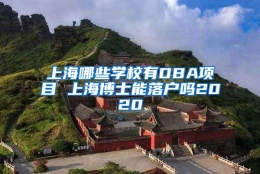 上海哪些学校有DBA项目 上海博士能落户吗2020