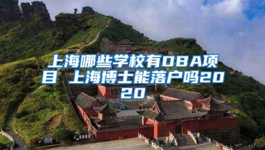 上海哪些学校有DBA项目 上海博士能落户吗2020