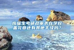 应届生考研政审表在学校盖完章还有其他手续吗？