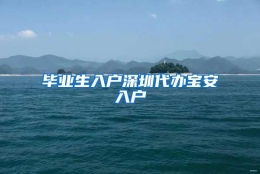 毕业生入户深圳代办宝安入户