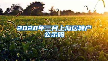 2020年三月上海居转户公示吗